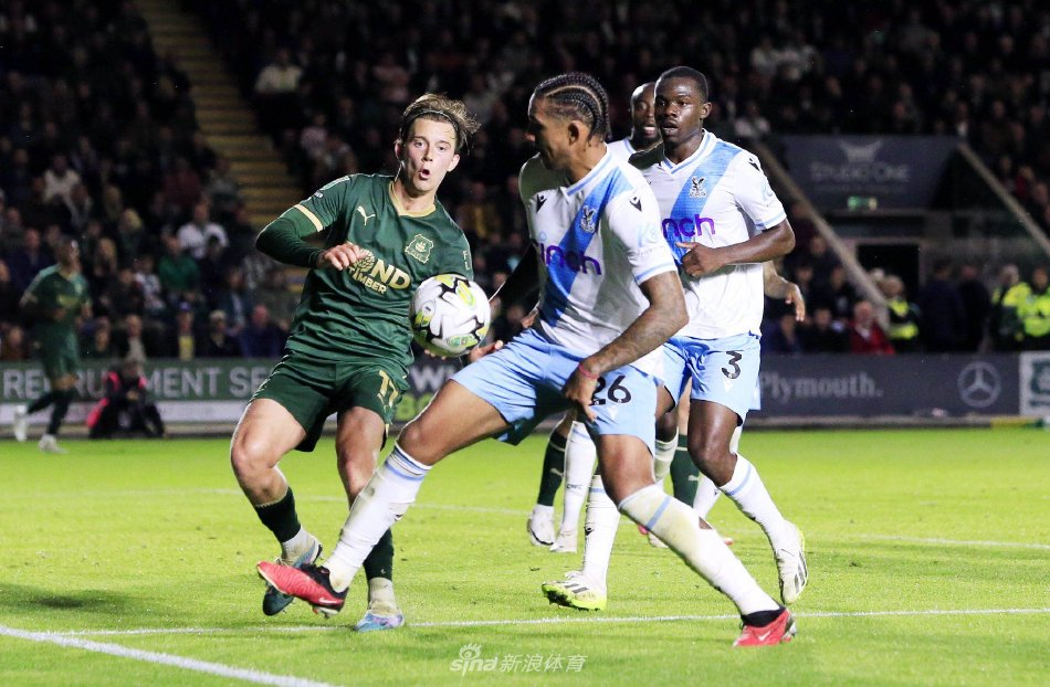 签下哈兰德 签下哈兰德